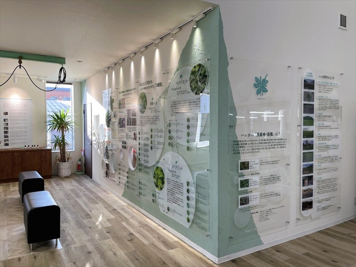 薄荷堂本店,キタミントホール