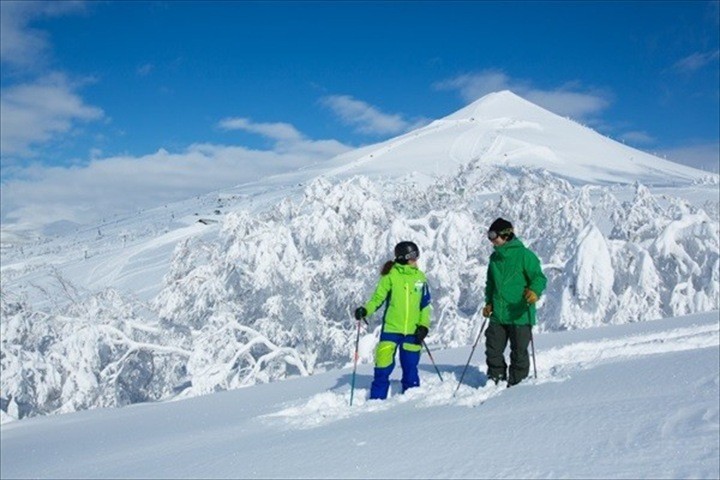 北海道 スキー場 ランキング