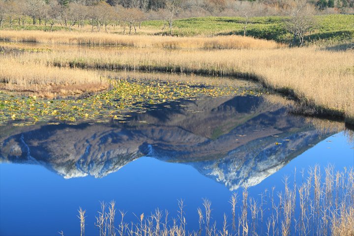 知床観光 知床五湖