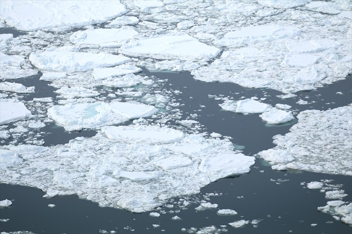 知床観光 流氷ウォーク