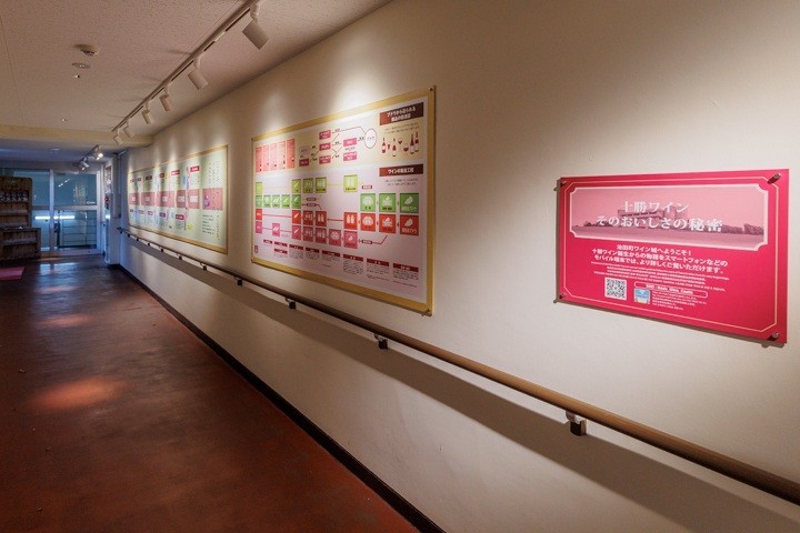 池田ワイン城　見学　パネル