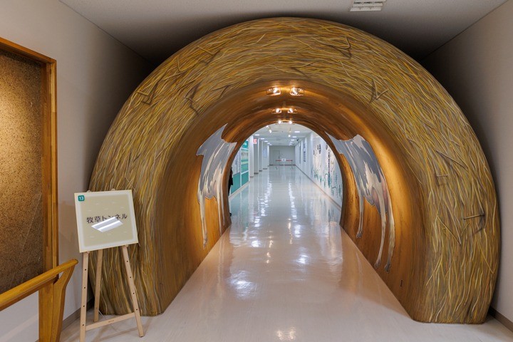 よつ葉乳業　おいしさまっすぐ館