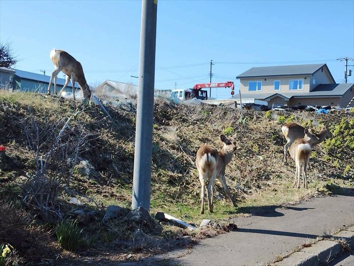 落石地区