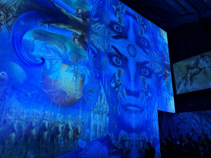 太陽の森ディマシオ美術館