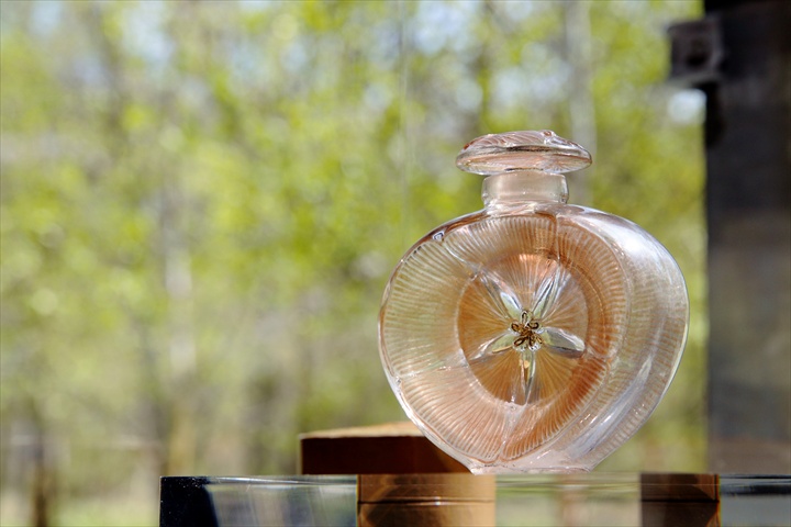 太陽の森ディマシオ美術館