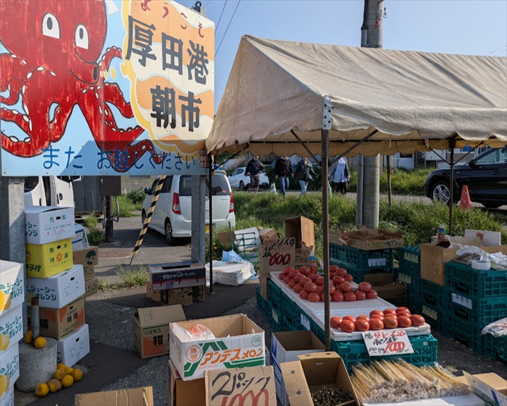 厚田港朝市