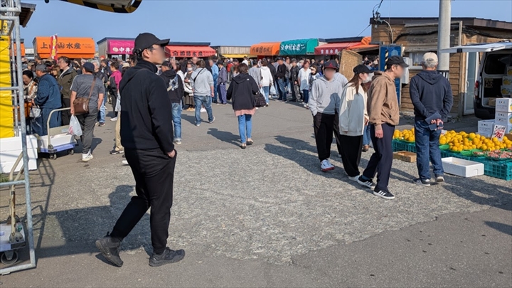 厚田港朝市