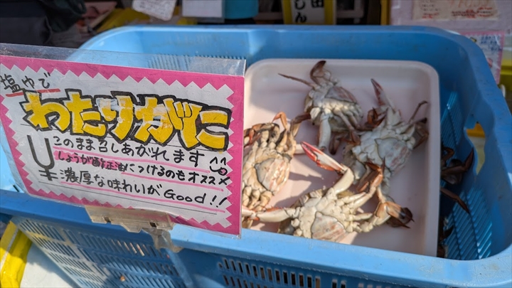 厚田港朝市