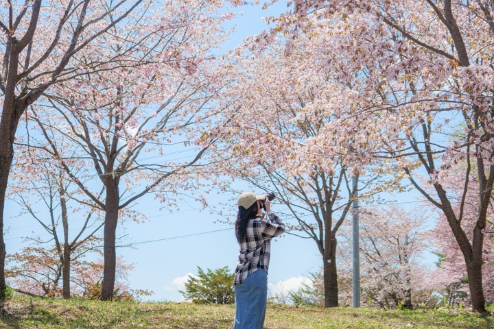 桜六花公園