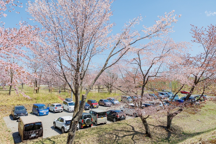 桜六花公園　駐車場