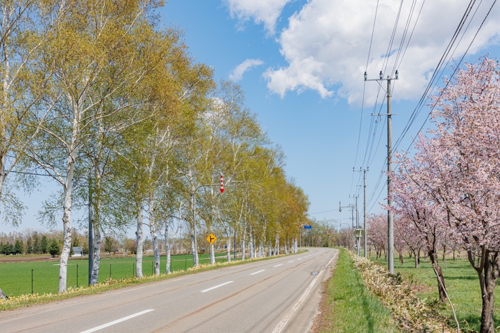十勝　絶景　中札内