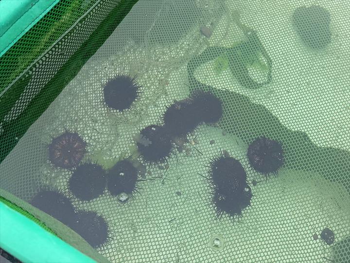 神居海岸パーク