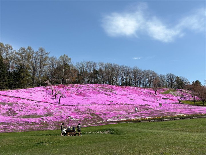 太陽の丘えんがる公園