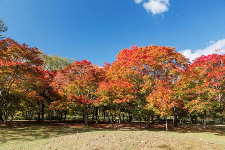 福原山荘
