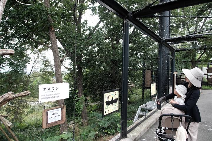 旭山動物園　みどころ