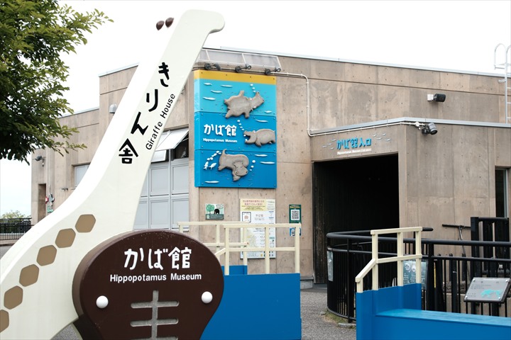 旭山動物園　みどころ