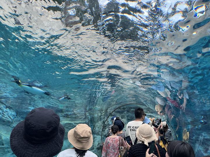 旭山動物園　みどころ